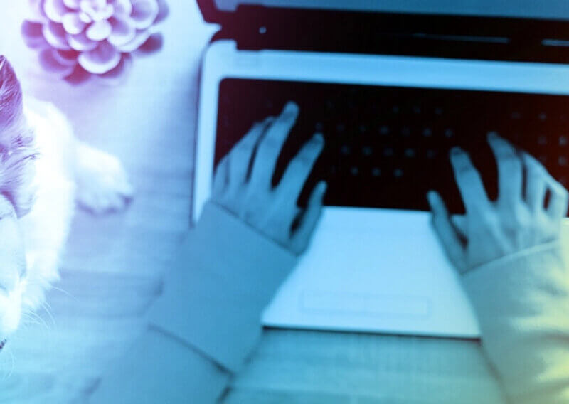 Keeping The Spark Alive