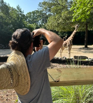 A person wearing a straw hat and gray shirt taking a photo with a camera on a tripod, with a giraffe standing in the background near trees and a wooden fence.