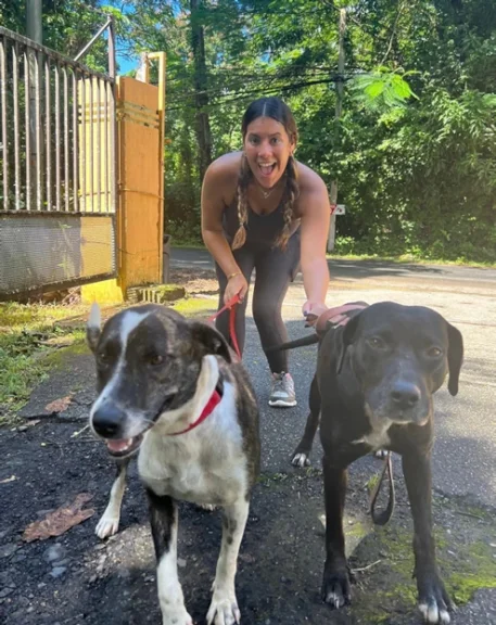 Employee Wellness & Assistance Program