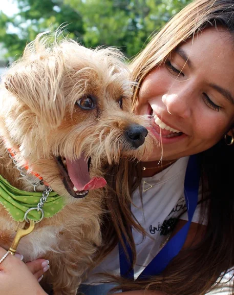 Dog-Friendly Workplace